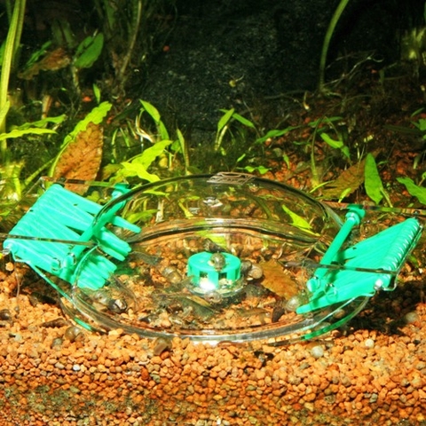 Bẫy ốc - JBL LimCollect