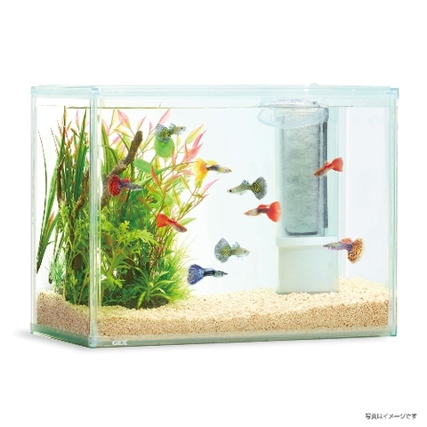 Hồ bộ AquaClear Set 300 - Gex AquaClear Set 300