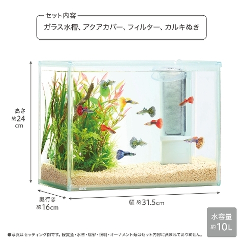 Hồ bộ AquaClear Set 300 - Gex AquaClear Set 300