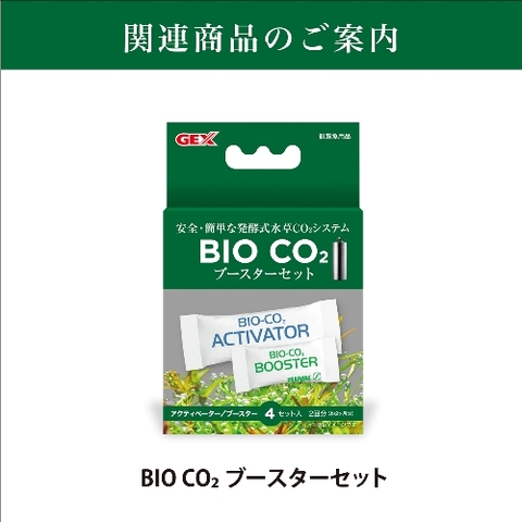 Bột CO2 - Gex CO2 Booster Set