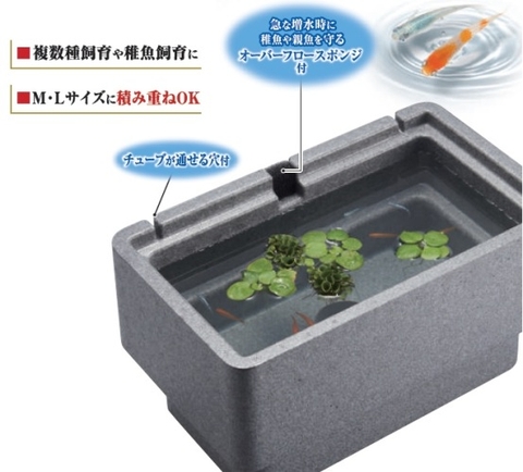 Chậu bằng Foam vuông size S nuôi cá Medaka - Gex Killifish Foam Case S  ( 35 x 21 x 20cm )