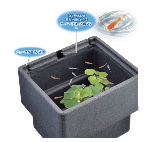 Chậu bằng Foam vuông size M nuôi cá Medaka - Gex Killifish Foam Case M  ( 35 x 30 x 29cm )