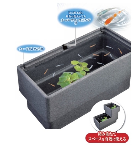 Chậu bằng Foam vuông size L nuôi cá Medaka - Gex Killifish Foam Case L  ( 60 x 30 x 29cm )