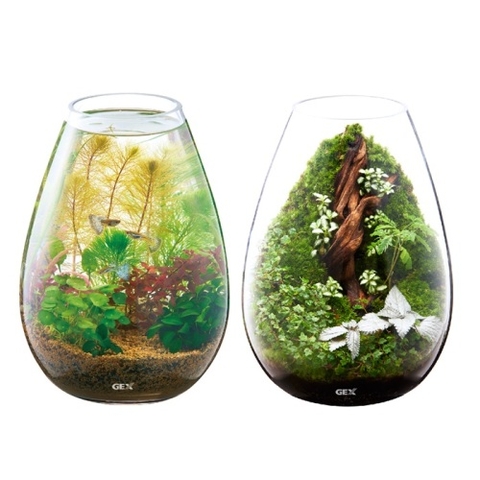 Hồ cá tiểu cảnh thủy tinh - Gex Glass Aquarium Candle