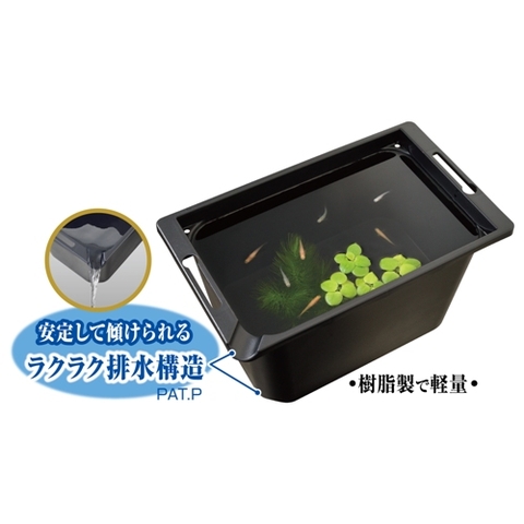 Chậu nhựa vuông 350 nuôi cá Medaka - Gex Killifish Box 350 (35.5 x 21.5 x 20cm)