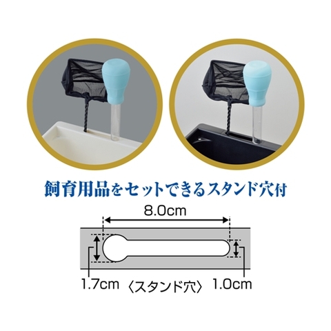 Chậu nhựa vuông 350 nuôi cá Medaka - Gex Killifish Box 350 (35.5 x 21.5 x 20cm)