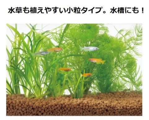 Nền thủy sinh dành cho cá Medaka ( hạt nhỏ ) - Gex Akadama Soil for Killifish (bao 2.5 lít)