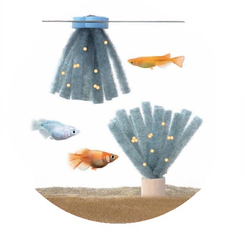 Giá thể cho cá Medaka đẻ trứng - Gex Killifish Spawning Floor Sinking+Float type