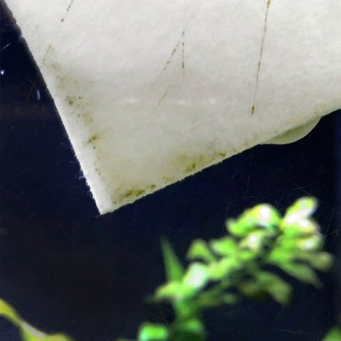 Miếng xốp chà hồ - Seachem Pad