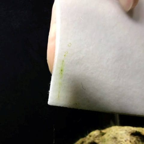 Miếng xốp chà hồ - Seachem Pad