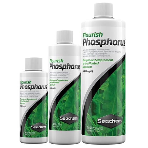 Dinh dưỡng cho cây thủy sinh - Seachem Flourish Phosphorus
