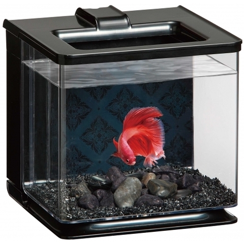 Hồ Cá Betta (16 x 17 x 16 cm ) - Gex Easy Aqua