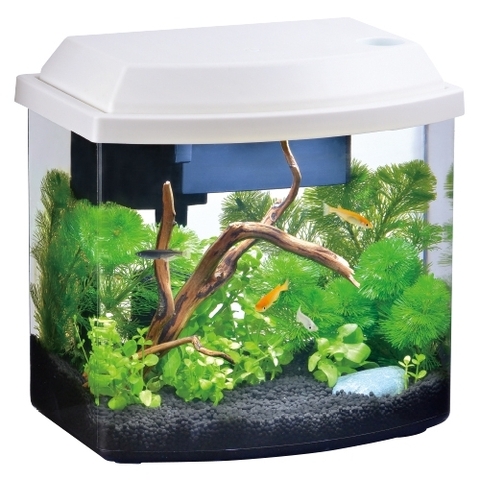 Bộ hồ cá mini ( 21.5 x 15.5 x 21cm ) - Gex Killifish LED Set