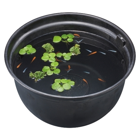 Chậu nhựa tròn 320 nuôi cá Medaka - Gex Killifish Bowl 320 ( 32 x 32 x 20cm )