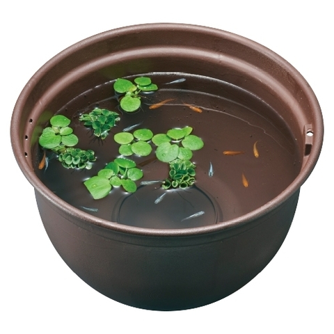 Chậu nhựa tròn 320 nuôi cá Medaka - Gex Killifish Bowl 320 ( 32 x 32 x 20cm )
