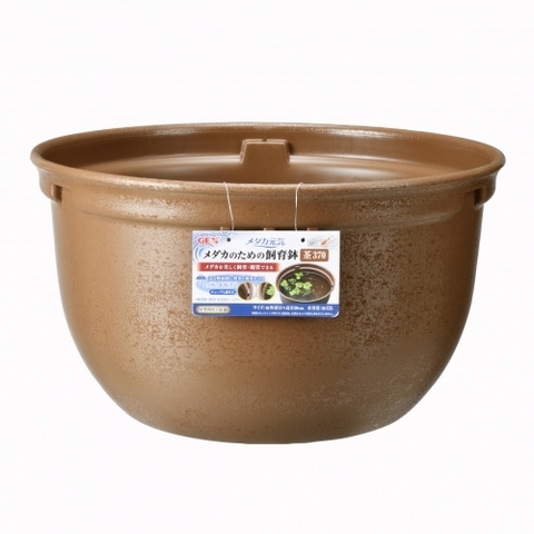 Chậu nhựa tròn 370 nuôi cá Medaka - Gex Killifish Bowl 370 ( 37 x 37 x 20cm )