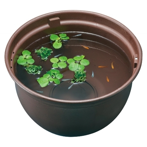 Chậu nhựa tròn 370 nuôi cá Medaka - Gex Killifish Bowl 370 ( 37 x 37 x 20cm )