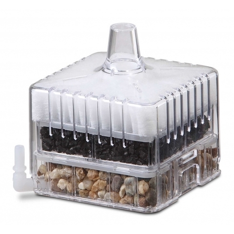 Lọc sủi Oxy - Gex Roka Boy Pro S