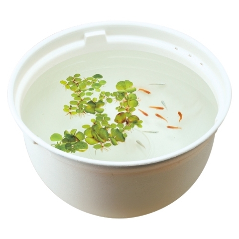 Chậu nhựa tròn 370 nuôi cá Medaka - Gex Killifish Bowl 370 ( 37 x 37 x 20cm )