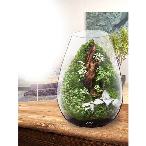 Hồ cá tiểu cảnh thủy tinh - Gex Glass Aquarium Candle