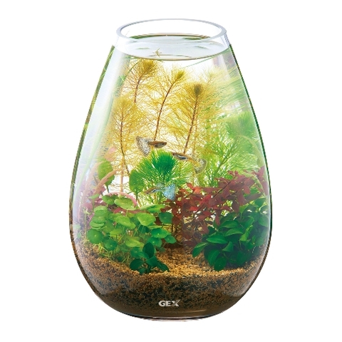 Hồ cá tiểu cảnh thủy tinh - Gex Glass Aquarium Candle