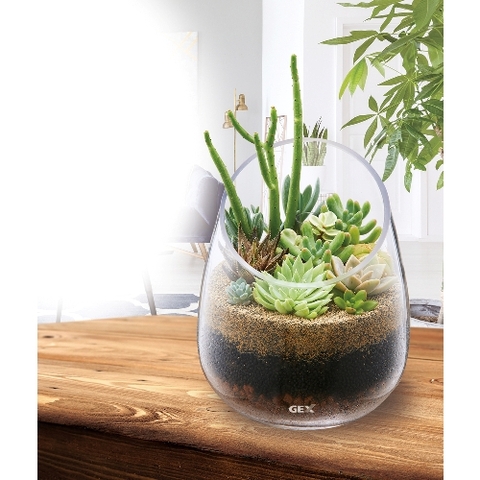 Hồ cá tiểu cảnh thủy tinh - Gex Glass Aquarium Slope