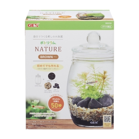 Bộ hồ tiểu cảnh thủy tinh - Gex Bottlium Nature Set Brown