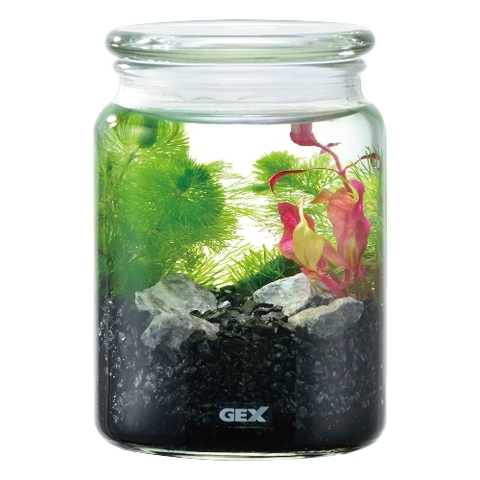 Bộ hồ tiểu cảnh thủy tinh - Gex Bottlium Nature Set Black