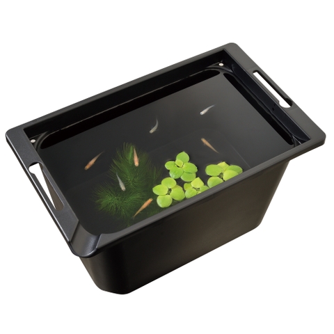 Chậu nhựa vuông 350 nuôi cá Medaka - Gex Killifish Box 350 (35.5 x 21.5 x 20cm)