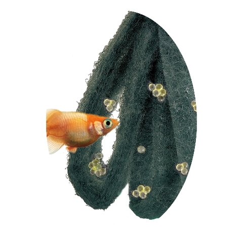 Giá thể cho cá Medaka đẻ trứng - Gex Killifish Spawning Floor Loop Blue