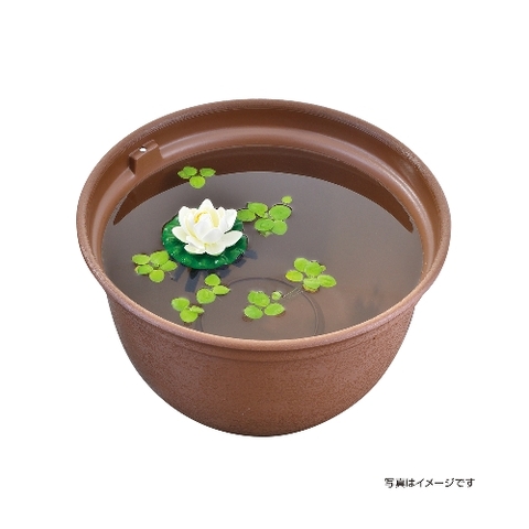 Giá thể cho cá Medaka đẻ trứng - Gex Killifish Spawning Floor Lotus Flower