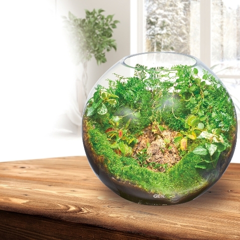 Hồ cá tiểu cảnh thủy tinh - Gex Glass Aquarium Sphere