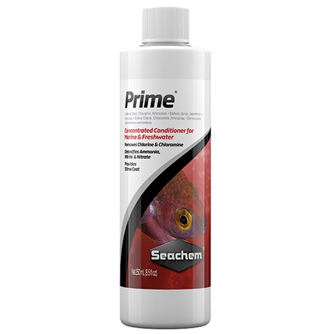 Chế phẩm khử độc - Seachem Prime