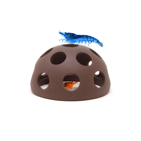 Phụ kiện cho hồ tép cảnh - AquaVitro Shrimp Dome