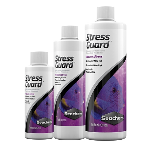Chế phẩm khử nước , giảm Stress - Seachem StressGuard