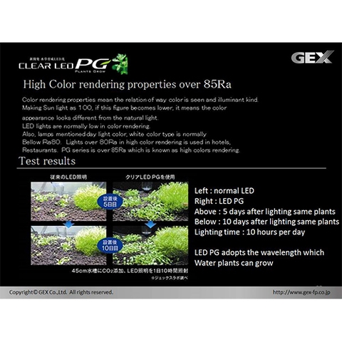 Đèn LED PG 600 siêu sáng 60 cm - Gex LED PG 600