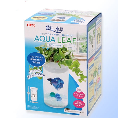 Hồ cá Betta (13 x 13 x 21.5 cm ) - Gex Aqua Leaf