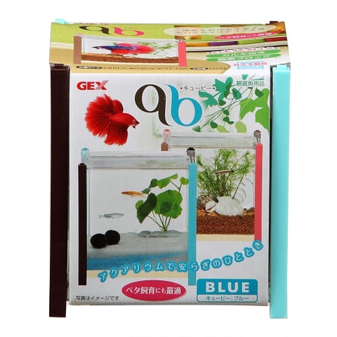 Hồ cá Betta ( 10 x 10 cm ) - Gex qb Betta
