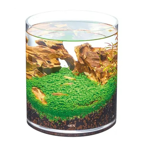 Hồ cá tiểu cảnh thủy tinh - Gex Glass Aquarium Cylinder