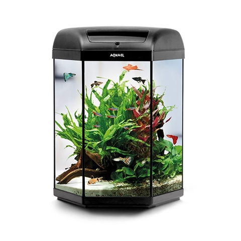 Bộ hồ cá cảnh - Aquael Hexa Set Aquarium D&N 60 liter