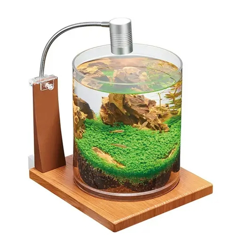 Hồ cá tiểu cảnh thủy tinh - Gex Glass Aquarium Cylinder