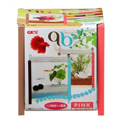 Hồ cá Betta ( 10 x 10 cm ) - Gex qb Betta