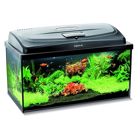 Bộ hồ cá cảnh - Aquael Aquarium Aqua4 Start Rect LT 60 (60x30x30cm)