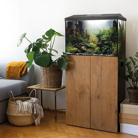 Bộ hồ cá cảnh - Aquael LEDDY Set Plus D&N 60 XL ( 60 x 30 x 40cm )