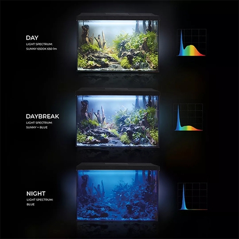 Bộ hồ cá cảnh - Aquael LEDDY Set Plus D&N 40 XL ( 40 x 25 x 30cm )