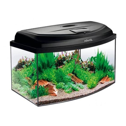 Bộ hồ cá cảnh - Aquael Aquarium Aqua4 Start Oval LT 60 (60x30x30cm)