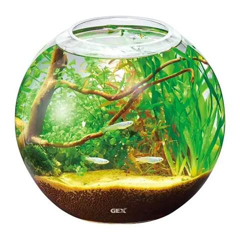 Hồ cá tiểu cảnh thủy tinh - Gex Glass Aquarium Sphere