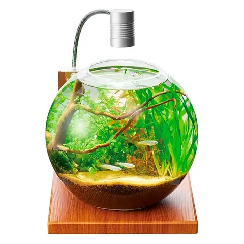 Hồ cá tiểu cảnh thủy tinh - Gex Glass Aquarium Sphere