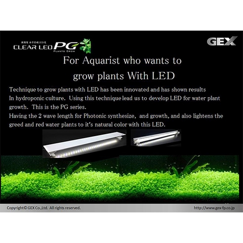 Đèn LED PG 600 siêu sáng 60 cm - Gex LED PG 600
