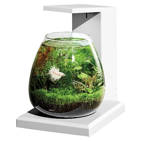 Bộ Hồ Aqua Perco ( Trắng ) - Glass Aqua PERCO T-WH